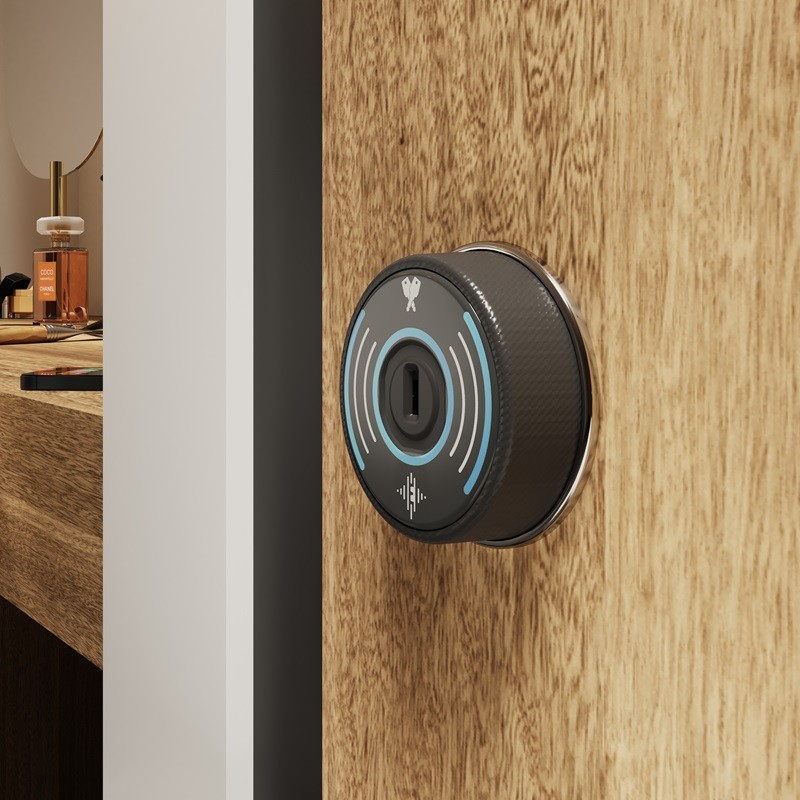 New ECHO Smart Lock